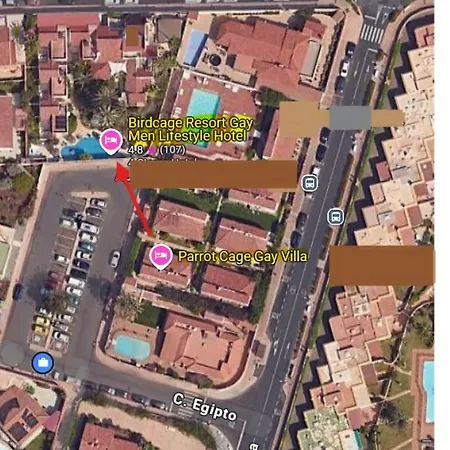 Birdcage Gay Men Resort&lifestyle Playa del Inglés