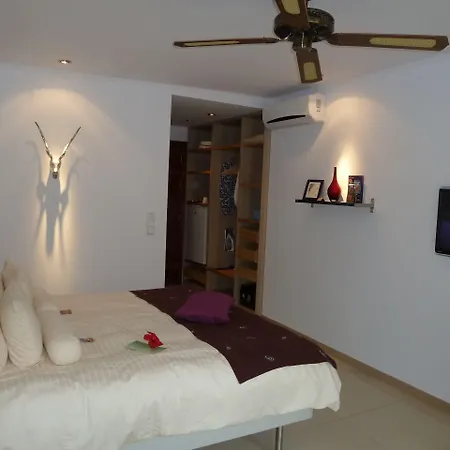 Birdcage Gay Men And Lifestyle (adults Only) 리조트 4*