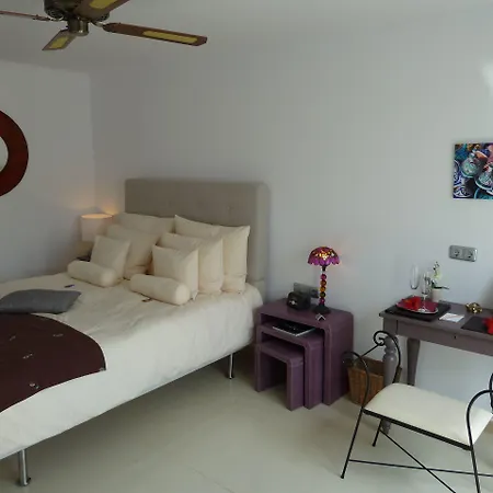 Birdcage Gay Men And Lifestyle (adults Only) 4* 플라야 델 잉글스