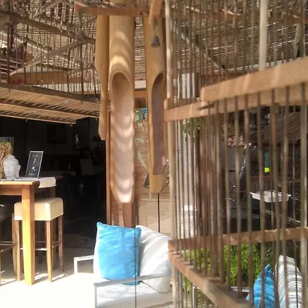 Resort Birdcage Gay Men Resort&lifestyle