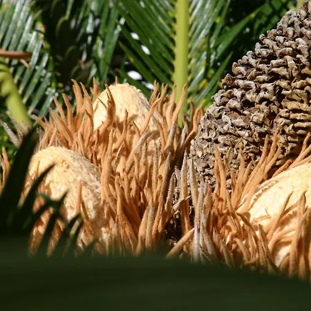 Birdcage Gay Men And Lifestyle (adults Only) 리조트 플라야 델 잉글스