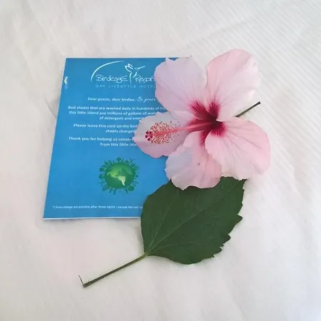 Birdcage Gay Men Resort&lifestyle Resort Playa del Inglés