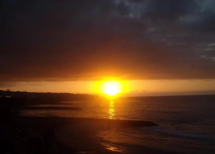 Resort Birdcage Gay Men Resort&lifestyle Playa del Inglés