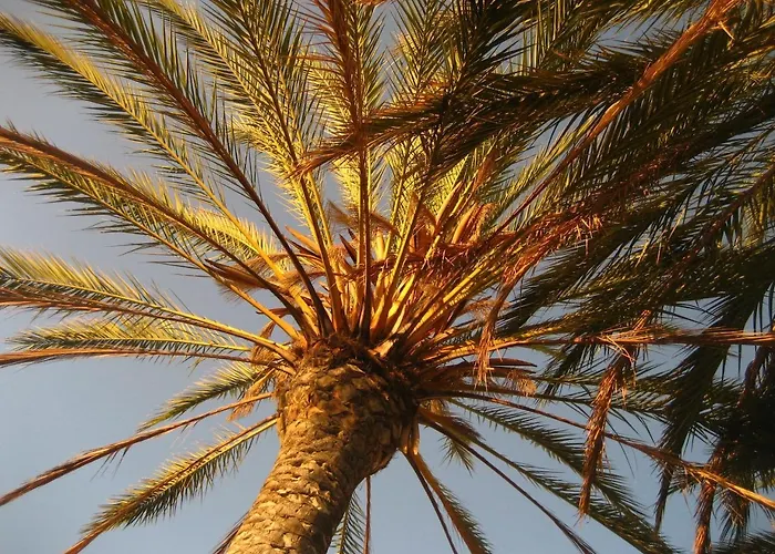 Resort Birdcage Gay Men Resort&lifestyle