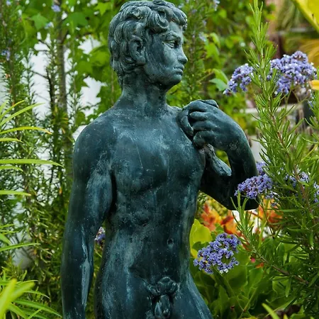 Birdcage Gay Men And Lifestyle (adults Only) Θέρετρο Πλάγια ντελ Ινγκλές